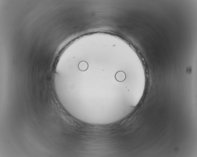 X0000113081316200910091222