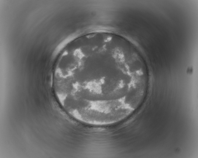 X0000113081317200910091222