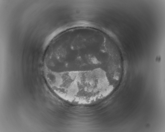 X0000113081318200910091222