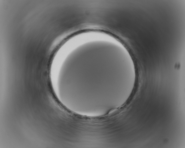 X0000113081319200910091222