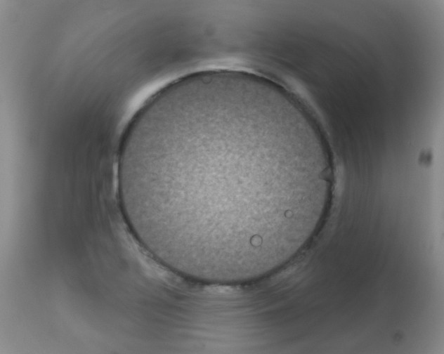 X0000113081320200910091222