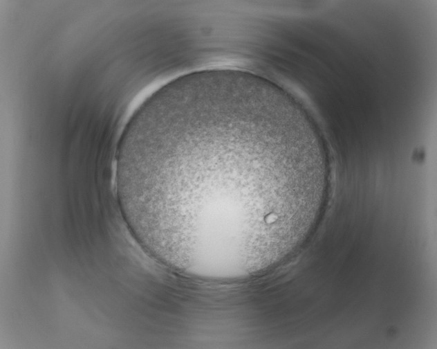 X0000113081324200910091222