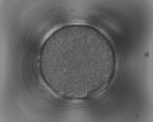 X0000113081325200910091222