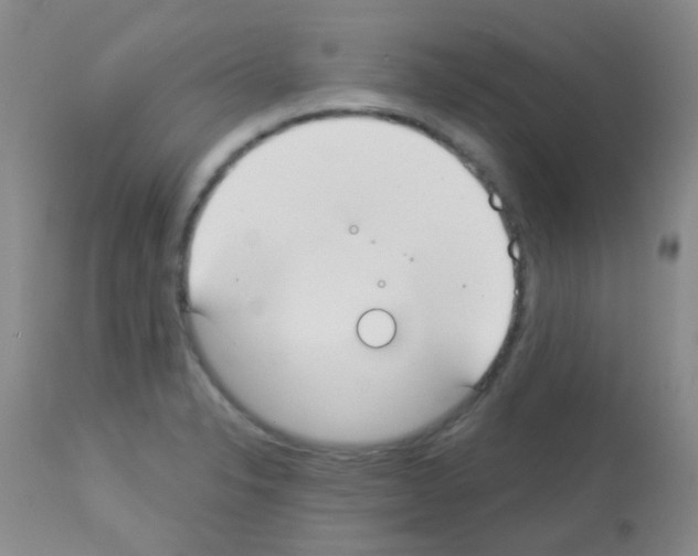X0000113081326200910091222