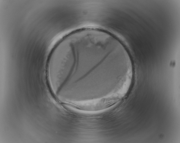 X0000113081327200910091222