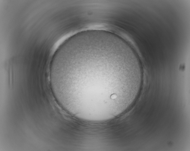 X0000113081328200910091222