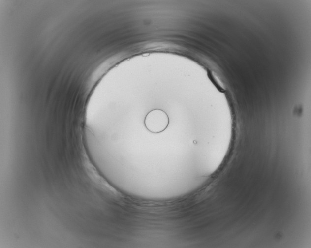 X0000113081330200910091222