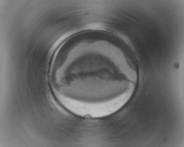 X0000113081331200910091222
