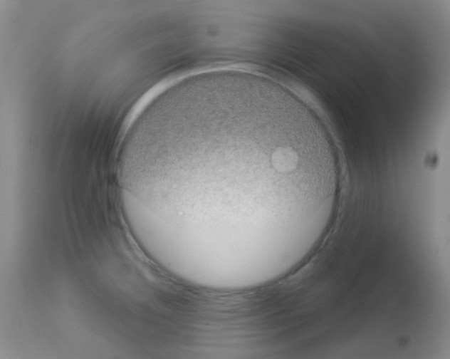 X0000113081332200910091222
