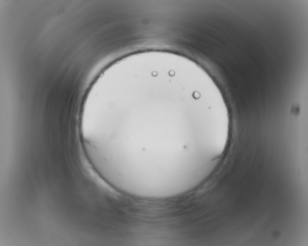 X0000113081334200910091222