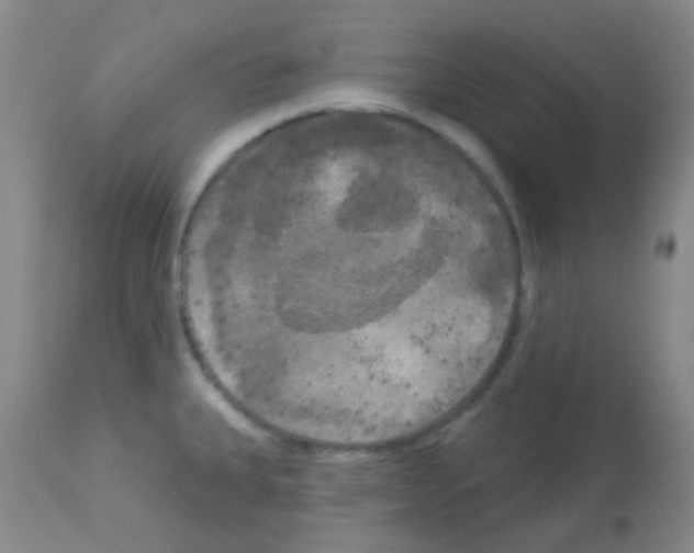 X0000113081335200910091222