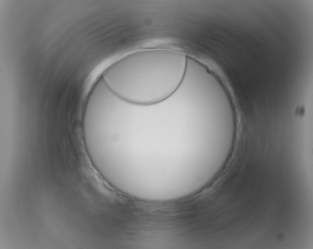 X0000113081336200910091222