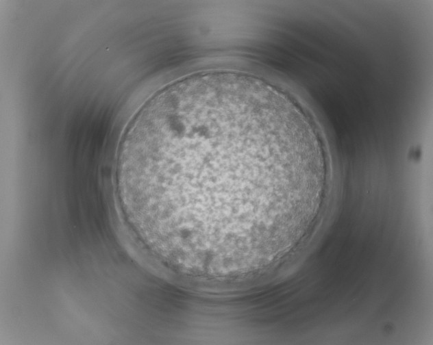 X0000113081338200910091222