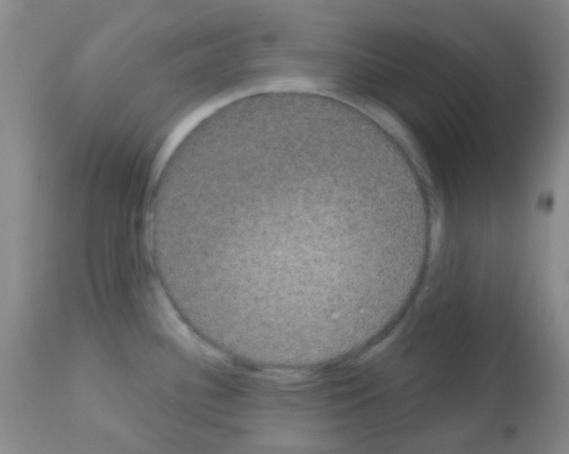 X0000113081340200910091222