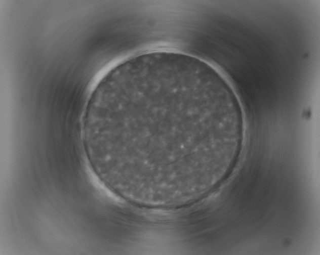 X0000113081341200910091222
