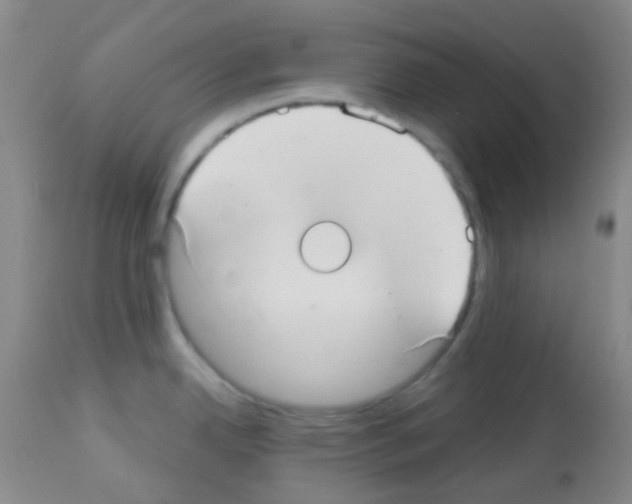 X0000113081342200910091222