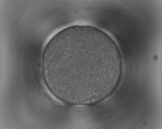 X0000113081343200910091222