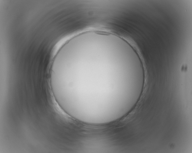 X0000113081344200910091222