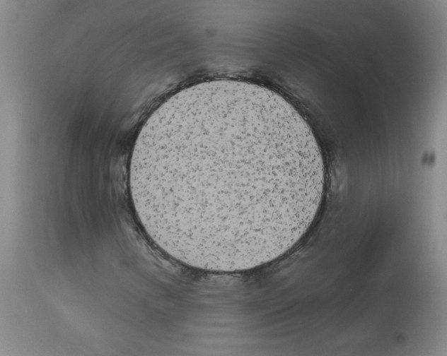 X0000113081346200910091222