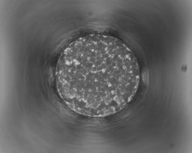 X0000113081347200910091222