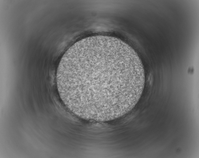 X0000113081348200910091222