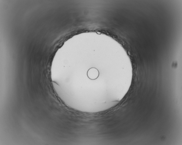 X0000113081349200910091222