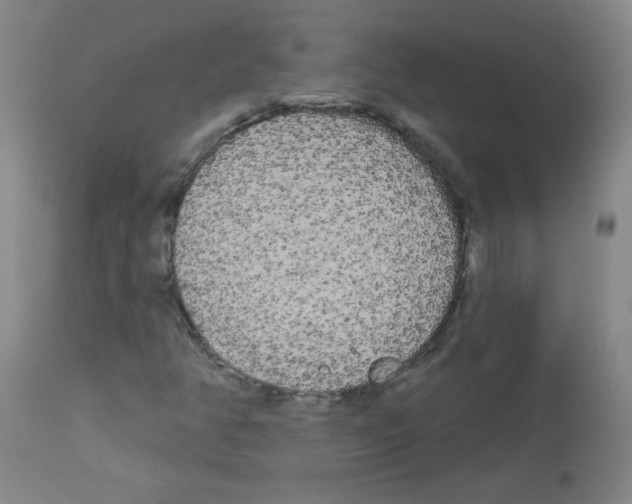 X0000113081350200910091222