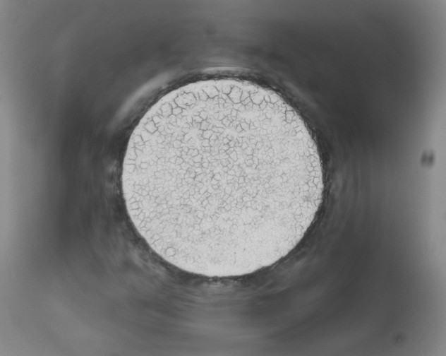 X0000113081351200910091222