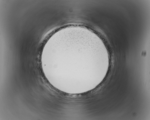 X0000113081352200910091222