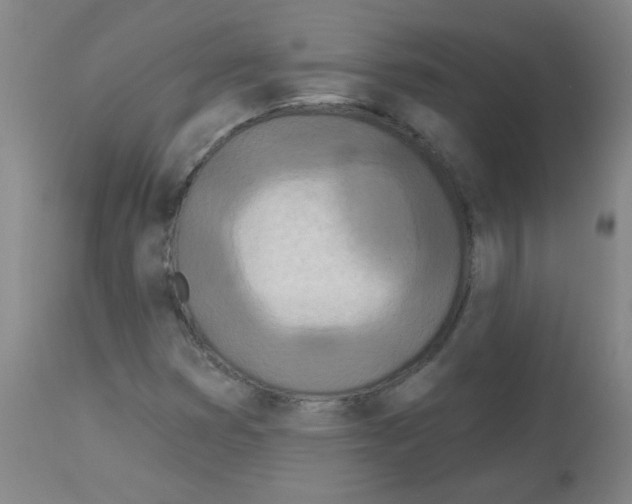 X0000113081353200910091222