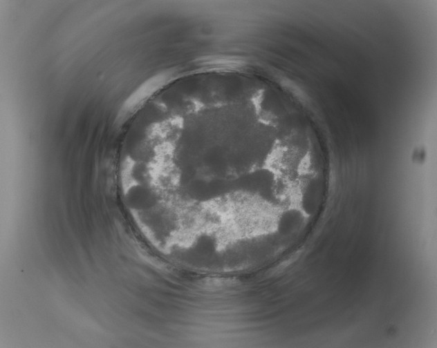 X0000113081354200910091222
