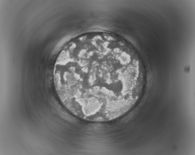 X0000113081355200910091222