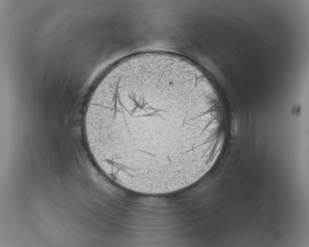X0000113081356200910091222