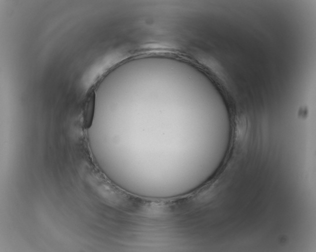X0000113081357200910091222