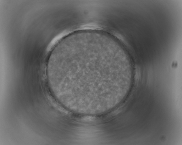 X0000113081358200910091222
