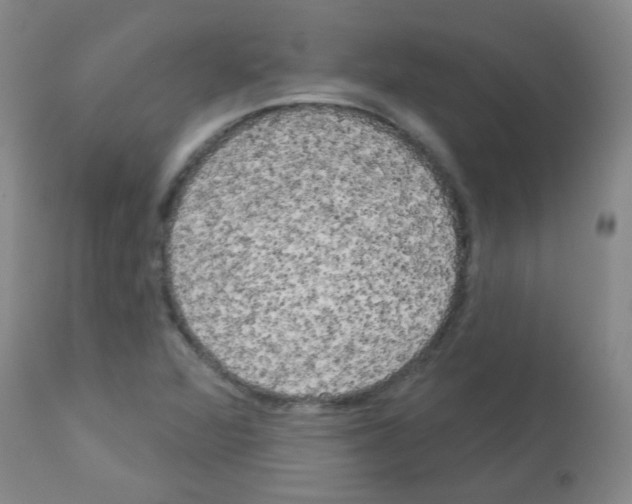 X0000113081360200910091221