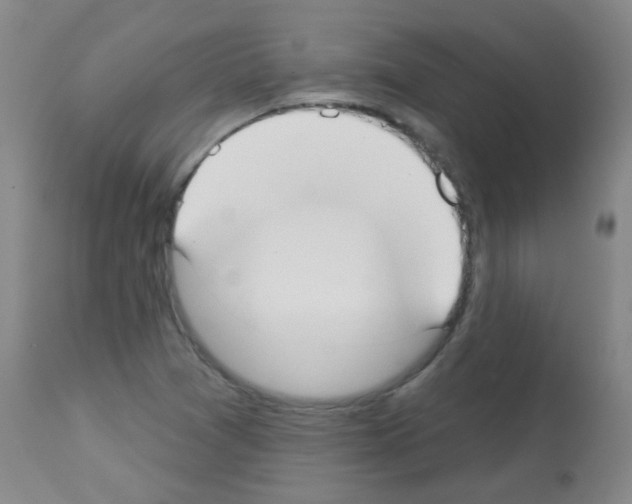 X0000113081361200910091221
