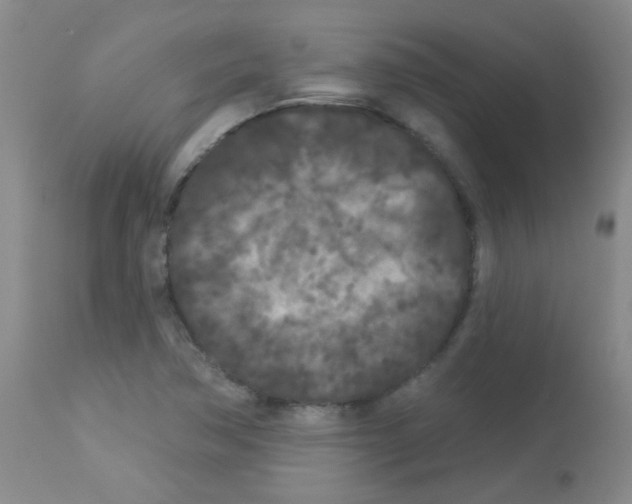 X0000113081362200910091221
