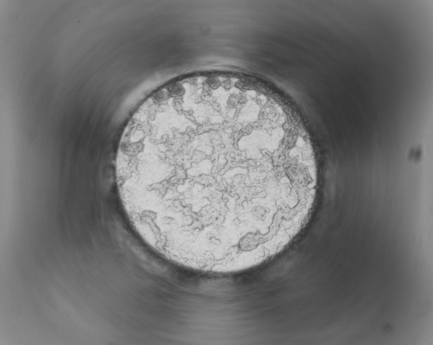 X0000113081363200910091221