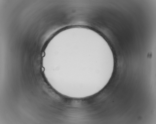 X0000113081364200910091221