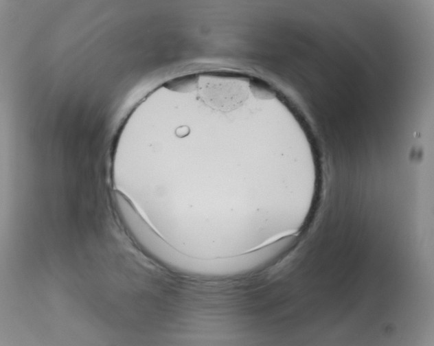 X0000113081365200910091221