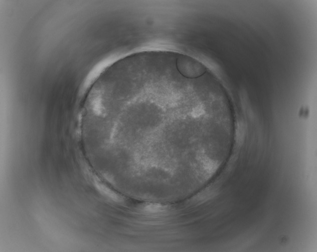 X0000113081366200910091221