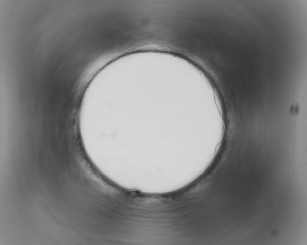 X0000113081367200910091221