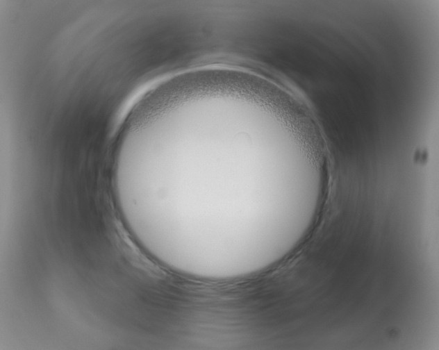 X0000113081368200910091221