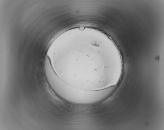 X0000113081369200910091221