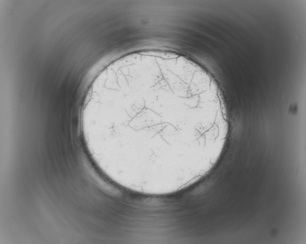 X0000113081371200910091221