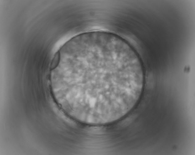 X0000113081373200910091221