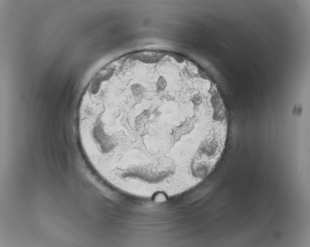 X0000113081375200910091221