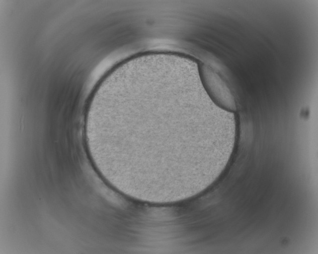 X0000113081376200910091221
