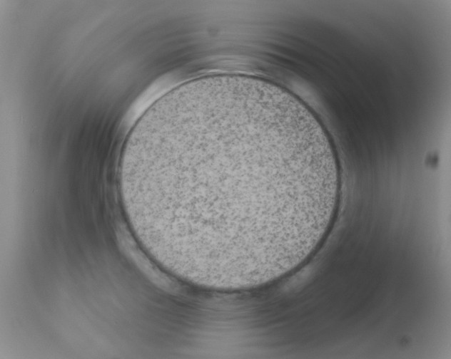 X0000113081378200910091221